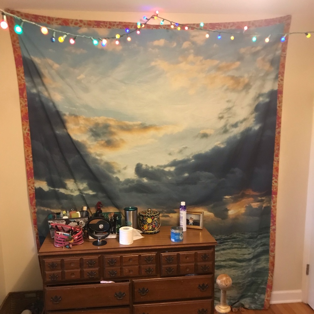 Plum and bow urban outfitters tapestry!
